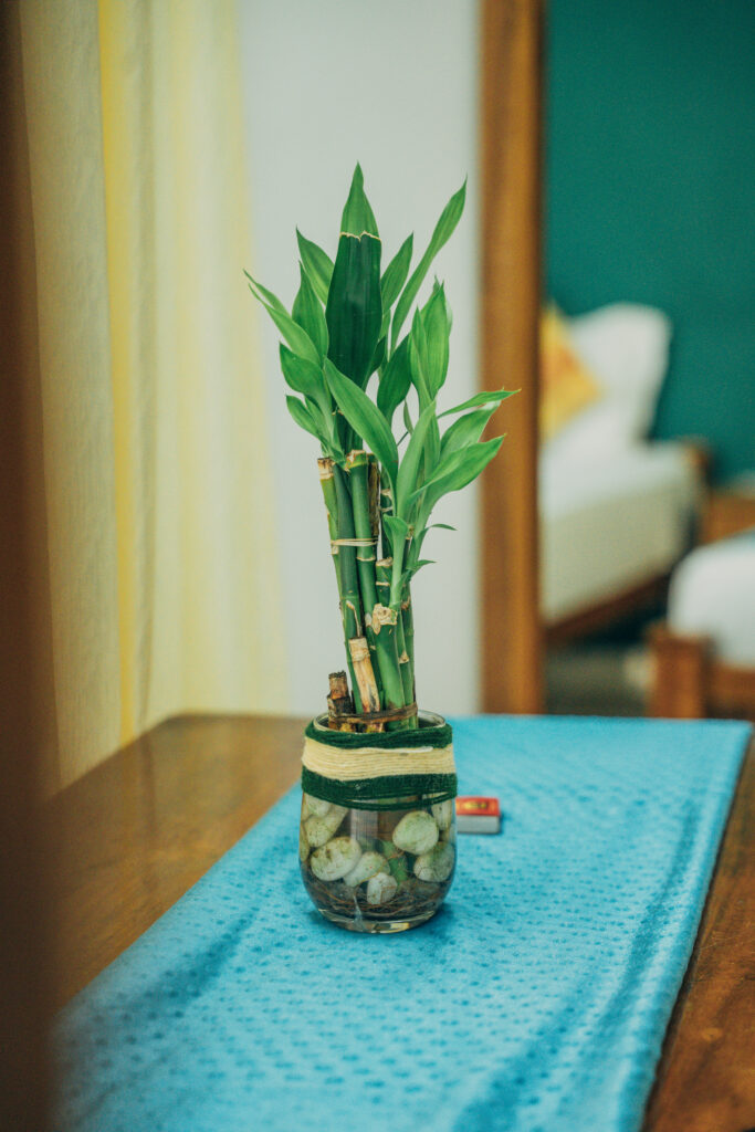 The space, the vibes. cli03230