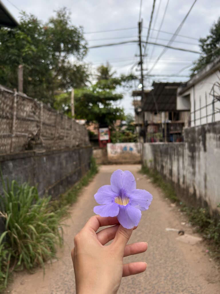 Welcome to our family-run Yoga & Ayurveda stay img 7634