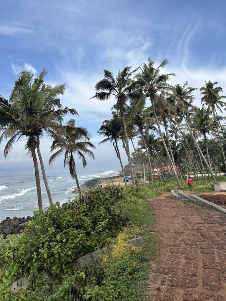 Welcome to our family-run Yoga & Ayurveda stay img 7707