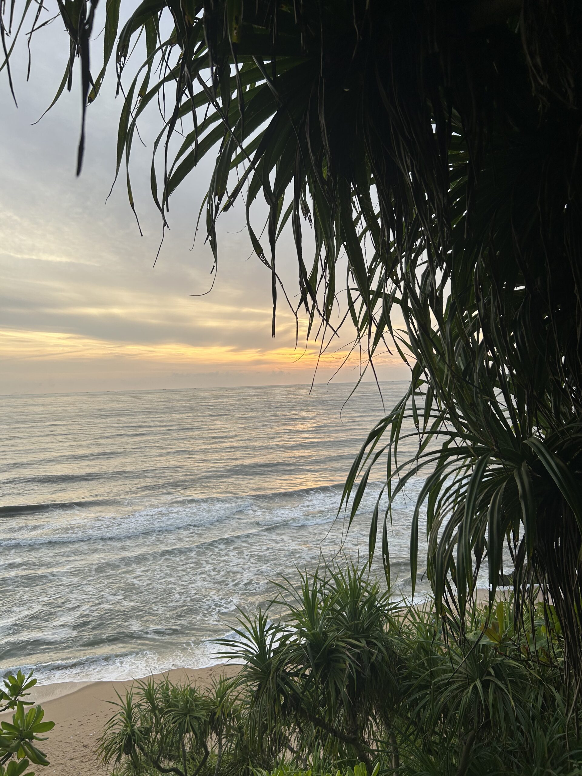 Your yoga retreat in Varkala – Pachamama Homestay IMG 7863 Scaled