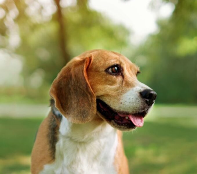 A5184bdc2f6d465ba8d2e457ef3ef4c7 E1773908072338