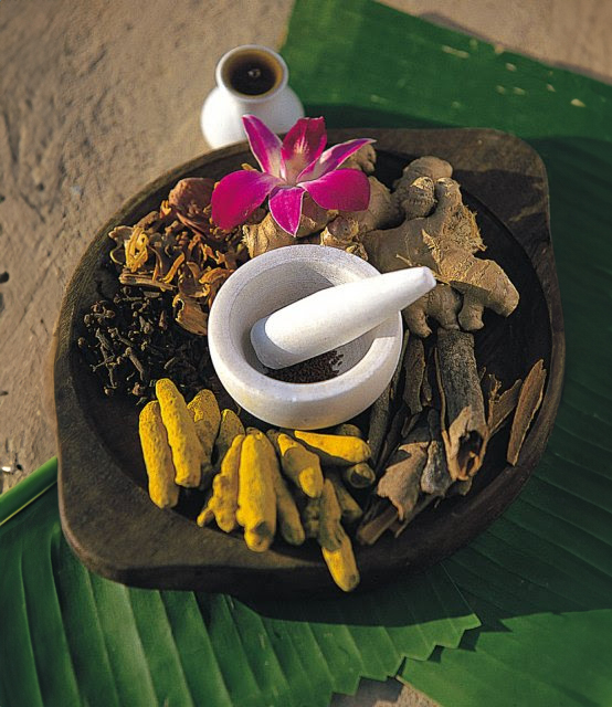 Your ayurveda retreat in Varkala – Pachamama Homestay ayurveda1